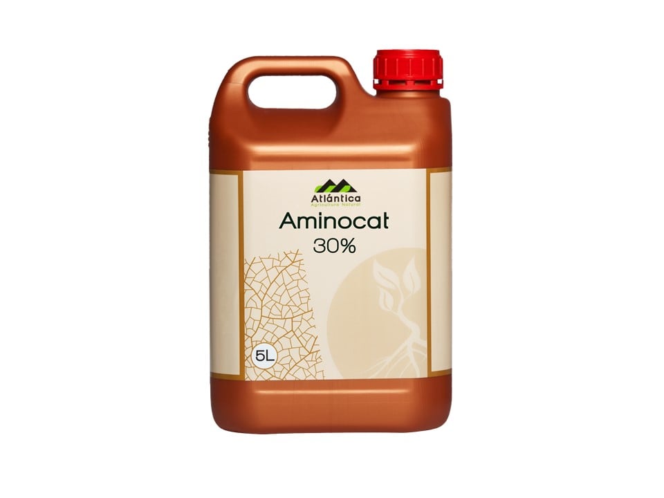 aminokat-min