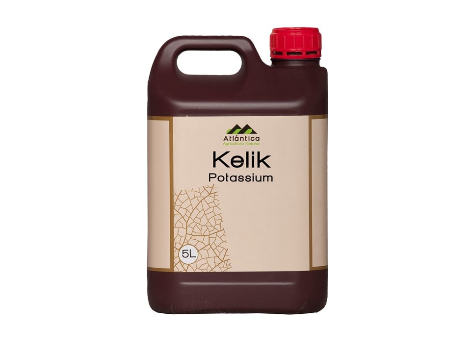 kelik-min