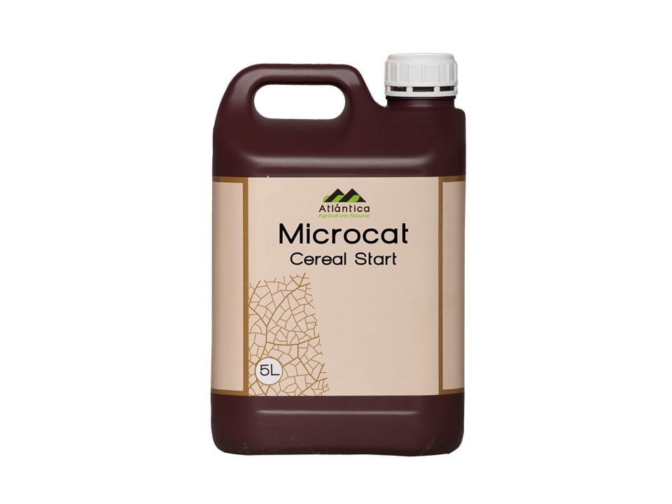 mikrokat-min